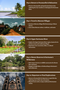 Suriname – Untamed Rainforests and Cultural Treasures: A Comprehensive 10-Day Guide