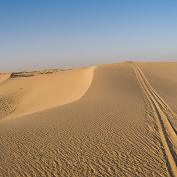 Traveling on a Desert Adventure - Your Guide to a Memorable Experience