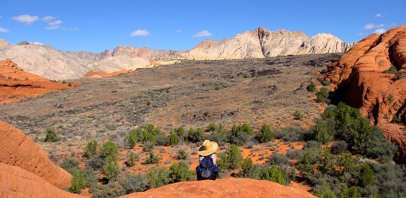 Snow Canyon  Utah