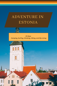 De las torres de Tallin a las costas de Saaremaa: una guía completa de Estonia en 10 días