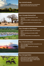 Cargar imagen en el visor de la galería, Tanzania – Safari Adventures, Serene Landscapes, Cultural Treasures: A Comprehensive 10-Day Guide
