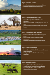 Tanzania – Safari Adventures, Serene Landscapes, Cultural Treasures: A Comprehensive 10-Day Guide