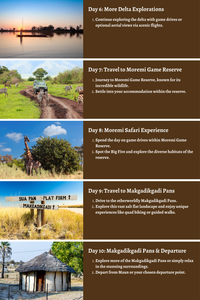 Botswana – Exploring Wildlife Riches and Natural Wonders: A Comprehensive 10-Day Guide