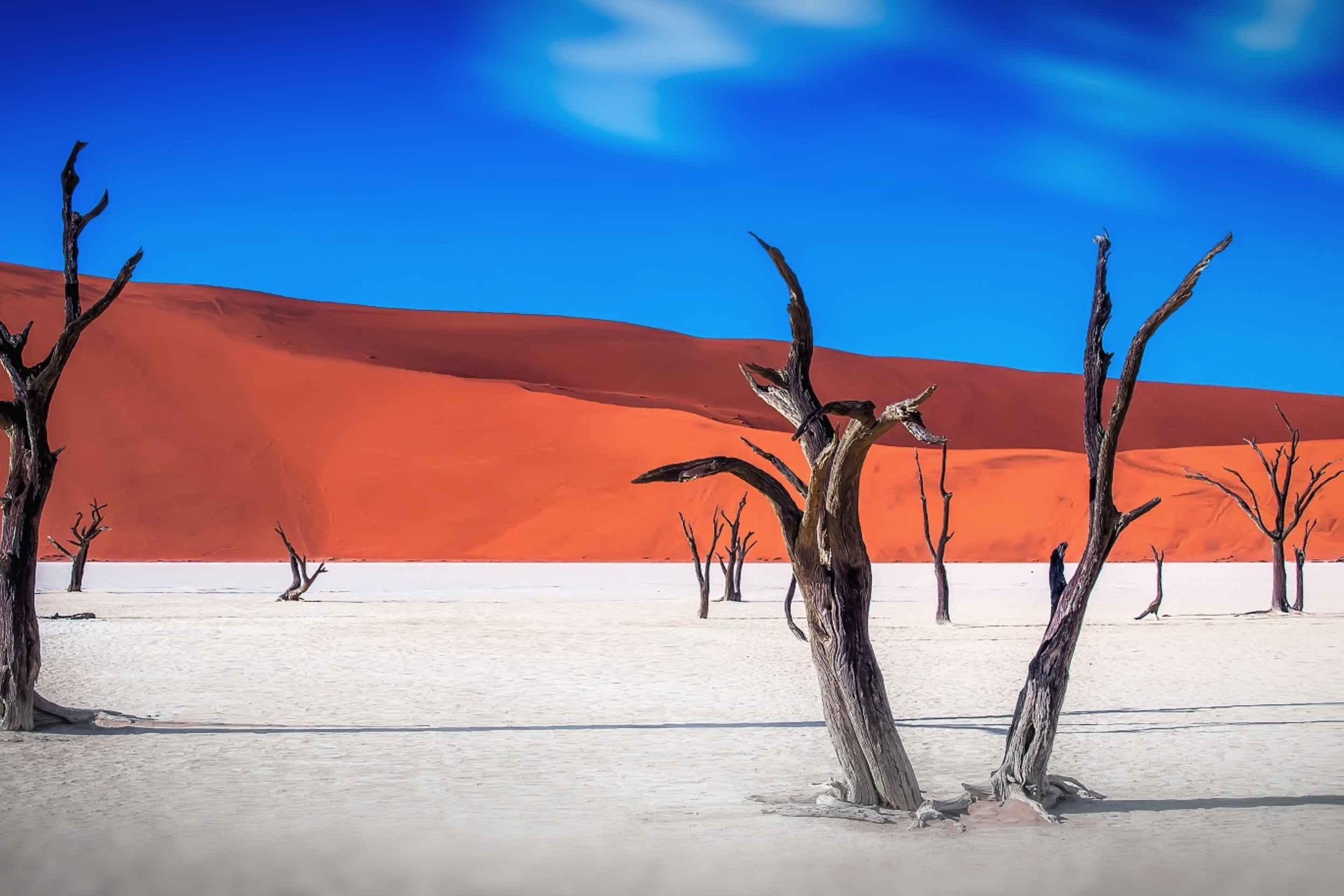 Namibia – From Desert Dunes to Wildlife Realms: A Comprehensive 10-Day Guide