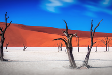 Cargar imagen en el visor de la galería, Namibia – From Desert Dunes to Wildlife Realms: A Comprehensive 10-Day Guide
