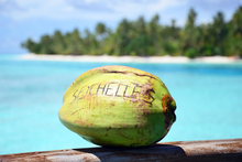 Cargar imagen en el visor de la galería, Seychelles – Exploring Paradise Islands and Natural Wonders: A Comprehensive 10-Day Guide
